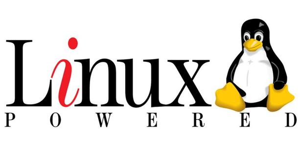Linux ں˴©