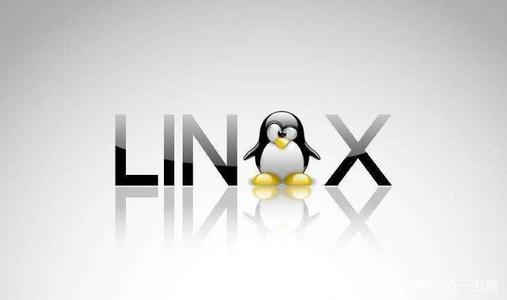 宁波BGP服务器选择Linux系统的特性